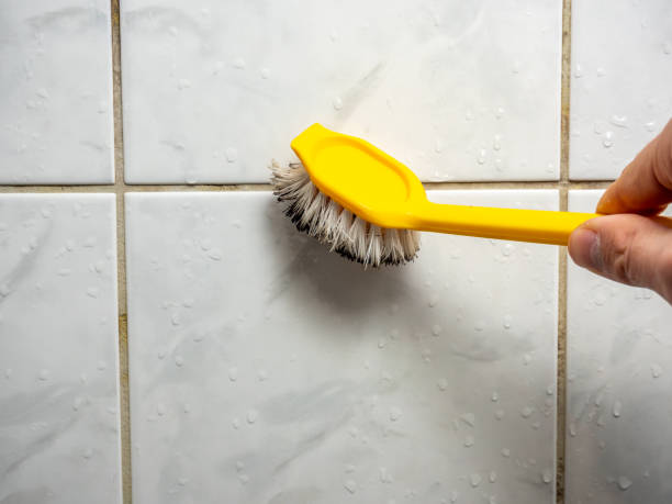 Best Mold Removal Specialists  in Lake Dallas, TX