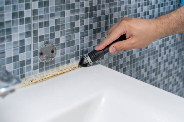 Best Certified Mold Removal  in Lake Dallas, TX