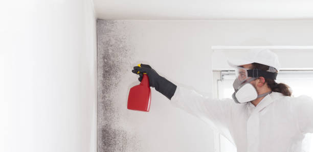 Water Damage Restoration in Lake Dallas, TX